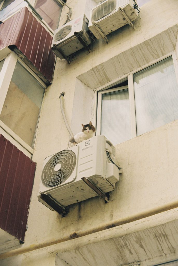 a-cat-that-is-sitting-on-a-window-sill-tlm5zia7cl8
